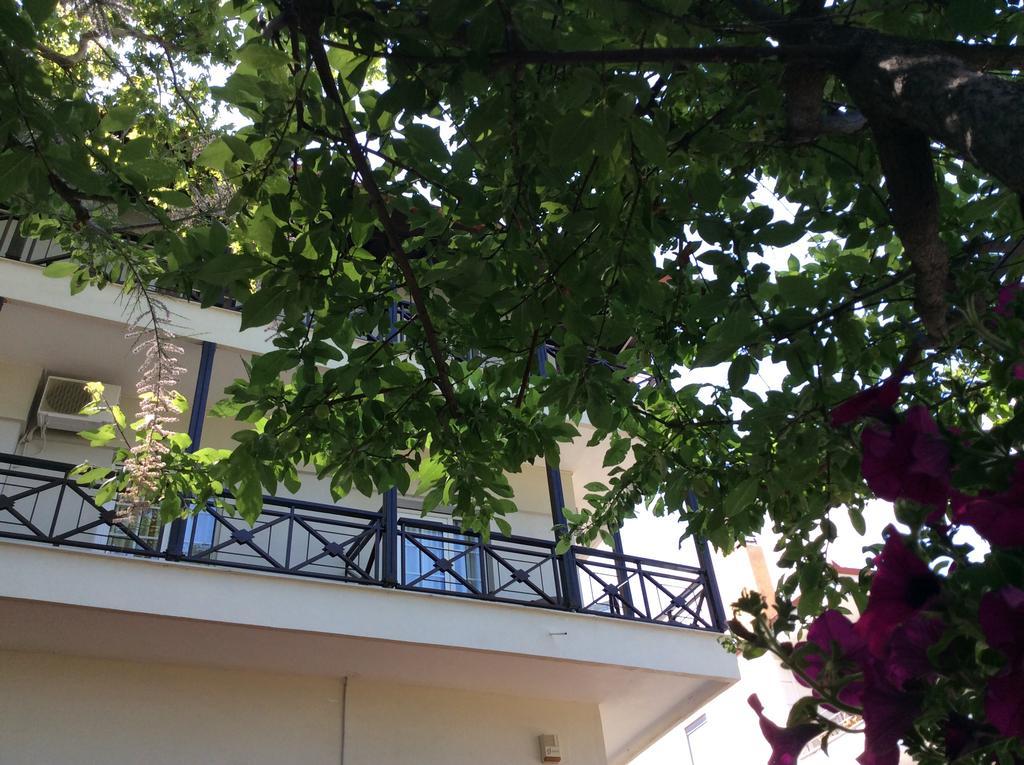 Hotel Morfeas プラタモナス エクステリア 写真