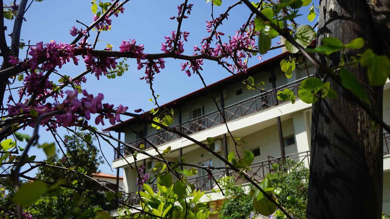 Hotel Morfeas プラタモナス エクステリア 写真