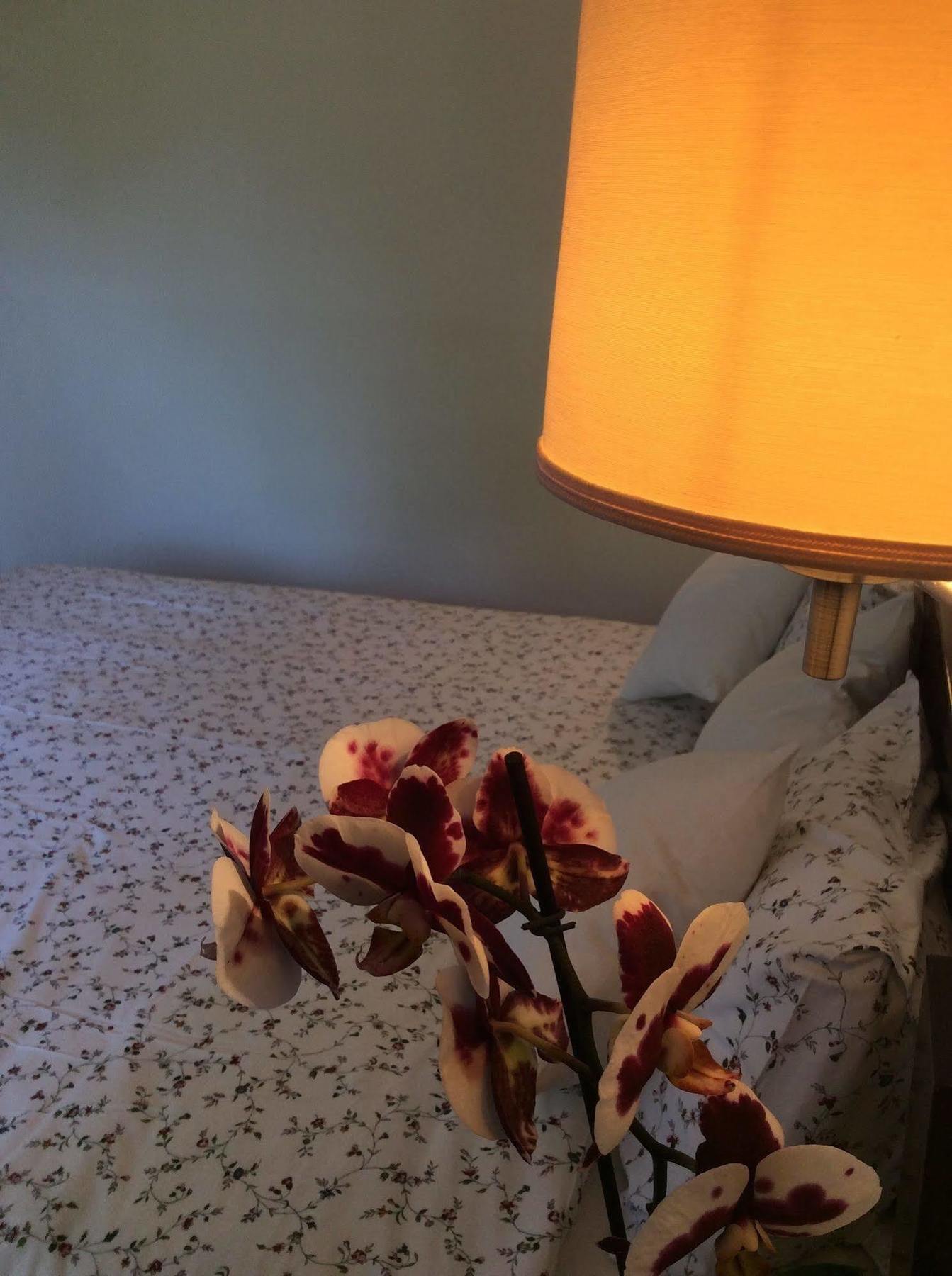 Hotel Morfeas プラタモナス エクステリア 写真